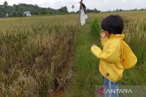Proyek Oplah Raksasa di Kutim, Solusi atau Risiko Lingkungan?