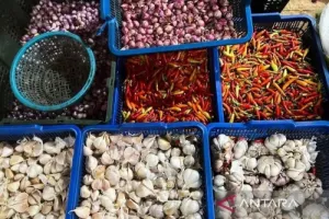Harga Cabai Rawit Merah Rp78.850/Kg, Telur Ayam Rp35.900/Kg pada Senin Pagi