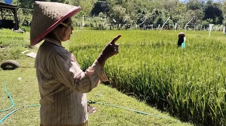 Kemenperin Perkuat Standar “Drone” Pertanian