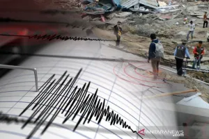 BMKG: Gempa Magnitudo 6,0 Guncang Timor Tengah Utara NTT
