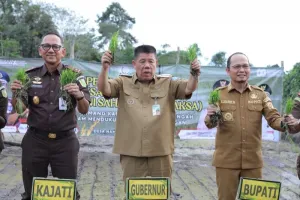 Gubernur Babel Perluas Tanam Padi Jaksa Mandiri Pangan