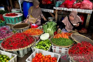 Harga Cabai Rawit Rp89.650/Kg, Telur Ayam Rp35.250/Kg