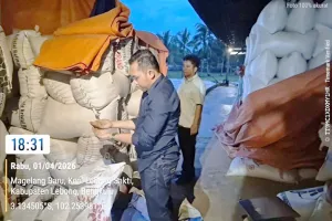 Lampaui Target, Bulog Rejang Lebong Borong 1.851 Ton Gabah Petani