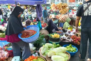 Tekanan Mereda, Harga Pangan Kompak Turun di Sejumlah Provinsi