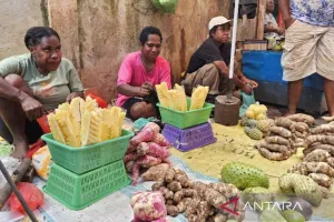 Wakil Gubernur Papua Minta BI Terus Perkuat Pertumbuhan Ekonomi Inklusif di Papua
