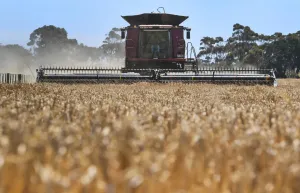 Australia Puji Komitmen Indonesia Jaga Rantai Pasokan Pupuk
