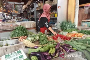 BI Percaya Diri, Inflasi 2026–2027 Tetap Jinak di Kisaran Target