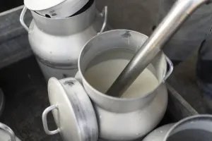 Harga Susu Dunia Turun di Tengah Blokade Selat Hormuz