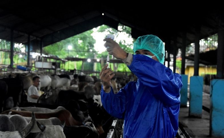 Jelang Idul Adha 2026, Bekasi Terjunkan 32 Petugas Awasi Hewan Kurban, Warga Wajib Tahu Ciri Sehatnya