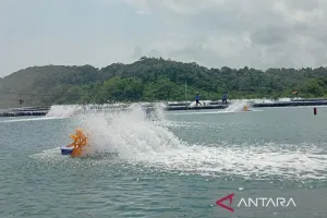 Kemarau Mengintai, Pembudi Daya Ikan di Cilacap Diminta Siaga