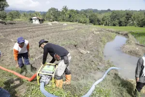 Kementan Siapkan Jurus Jitu Lawan Kemarau 2026: Petani Tak Perlu Panik, Pompanisasi dan Pupuk Aman