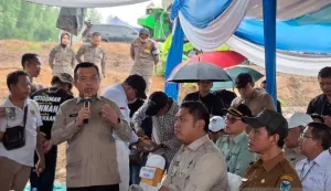 Menuju Swasembada Beras, Jambi Tambah Ribuan Hektare Sawah Baru pada 2026