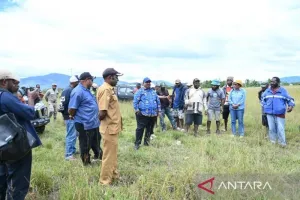 Pemprov Papua Pegunungan Dukung Buka Lahan Pertanian 800 Hektare di Jayawijaya