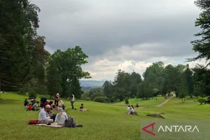 Sektor Wisata Menggeliat, Kebun Raya Cibodas Rekam Kenaikan Kunjungan Harian