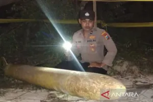 Tim Gegana Selidiki Temuan Benda Mirip Torpedo di Sumenep Madura