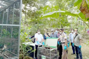 BKSDA Bengkulu Lepasliarkan 942 Ekor Burung Sitaan di Tahura Wan Abdul Rachman Lampung