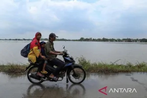 BMKG Prakirakan Kota-kota Besar di Indonesia Bakal Diguyur Hujan dengan Intensitas Bervariasi
