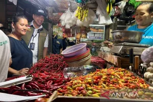 Harga Cabai Rawit Rp66.100/Kg, Telur Ayam Rp32.050/Kg pada Kamis Pagi