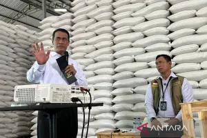 Isu Harga Naik Dibantah Mentan: Harga Beras Tetap Stabil