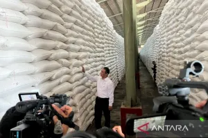 Menteri Pertanian: Stok Cadangan Beras Pemerintah di Bulog Tembus 5,19 Juta Ton