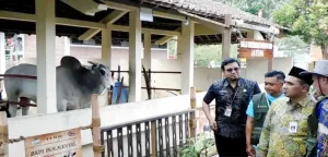 PADI 2026 Diusulkan Wagub Taj Yasin Masuk Kalender Pariwisata Jawa Tengah