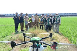Pemkot Cirebon Jajal Drone, Efisiensi Semprot Pestisida Masuk Era Baru
