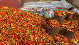 PIHPS: Harga Cabai Rawit pada Kamis (23/4) Rp66.100/kg, Telur Ayam Rp32.050/kg