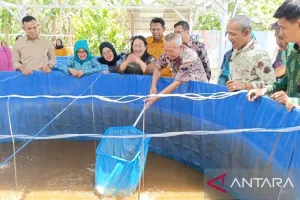 Tim Penggerak Pemberdayaan dan Kesejahteraan Keluarga Sigi Laksanakan Panen Perdana Ikan Nila Sistem Bioflok untuk Intervensi Stunting