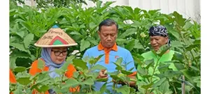 Pemkot Imbau Petani Jaktim Atur Pola Tanam Hadapi Kemarau Panjang