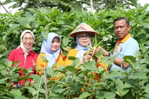 Pemkot Jaktim Dorong Ketahanan Pangan di Tengah Ancaman El Nino