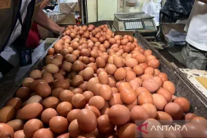 PIHPS: Harga Telur Ayam Rp32.000 per kg, Bawang Merah Rp45.950 per kg