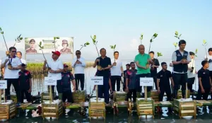 Bupati Badung Ikut Tanam Mangrove di Tahura Ngurah Rai, Dorong Mitigasi Perubahan Iklim