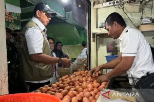 Harga Telur Ayam Rp31.950/Kg, Bawang Merah Rp46.100/Kg