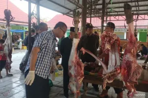 Jelang Idul Adha, Distan OKU Perketat Lalu Lintas Hewan Kurban