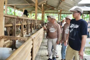 Peran Desa Digenjot, Wamentan Minta Kades Jadi Penggerak Inklusivitas