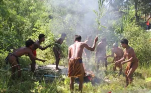Cegah Karhutla Masyarakat Orang Rimba Jadi Garda Terdepan di Jambi