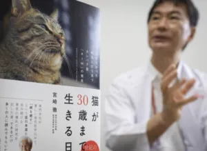 Kabar Gembira untuk Pecinta Kucing, Ilmuwan Jepang Kembangkan Obat Penyakit Ginjal Anabul