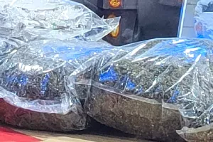 Polisi Tangkap 21 Pengedar Narkotika di Jayapura