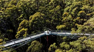  South West Western Australia Jadi Destinasi Favorit Baru Wisatawan Indonesia pada 2026