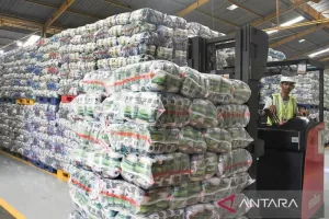 Stok Beras di Jakarta Dipastikan Aman, Ini Catatan Food Station Tjipinang Jaya
