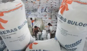 Ongkir Ditanggung Negara, Bapanas Banjiri Indonesia Timur dengan Bahan Pokok