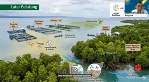 Riset BRIN Ungkap Peran Mangrove sebagai Biofilter Alami