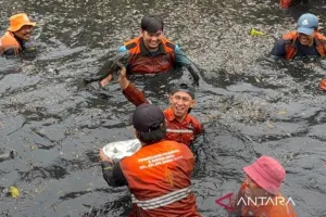Jaga Ekosistem Sungai, Pemkot Jakut Tangkap 493 Kg Ikan Sapu-sapu