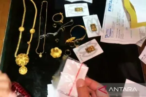 ART diduga curi harta majikan senilai Rp700 juta