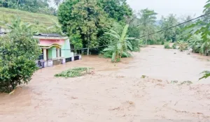 Jamali Berduka, Banjir Bandang 2 Meter Terjang Cianjur Lagi, Perabotan Warga Ludes Hanyut