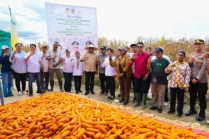 Kadin Papua Perluas Pendampingan Petani, Targetkan Produksi dan Kesejahteraan Naik