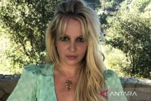 Britney Spears Didakwa Mengemudi dalam Keadaan Mabuk