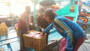 Tok! Indonesia Resmi Ratifikasi ILO 188, Awak Kapal Perikanan Kini Punya Payung Hukum