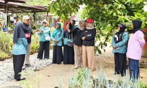 PKK Kukar Gerakkan Kaum Ibu untuk Ketahanan Pangan Keluarga