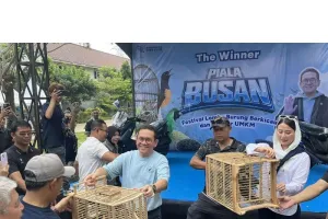 Wow! Ekosistem Burung Kicau di Indonesia Bernilai Hingga Rp2 Triliun